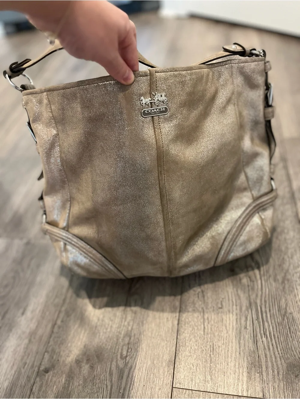 Coach Chelsea Metallic Leather Katarina Shimmer Hobo Shoulder Bag Champagne